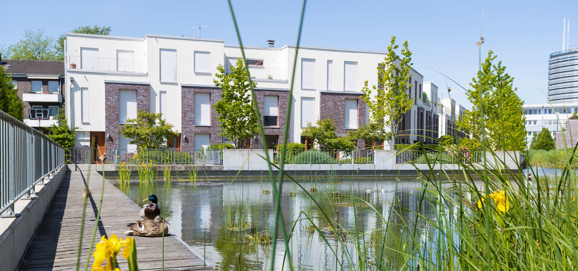 Gartenhof Ksters - Schanzenstr. 99, Dsseldorf